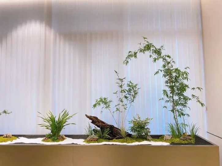 蘇州辦公室綠化養護：提升辦公環境的綠色魅力