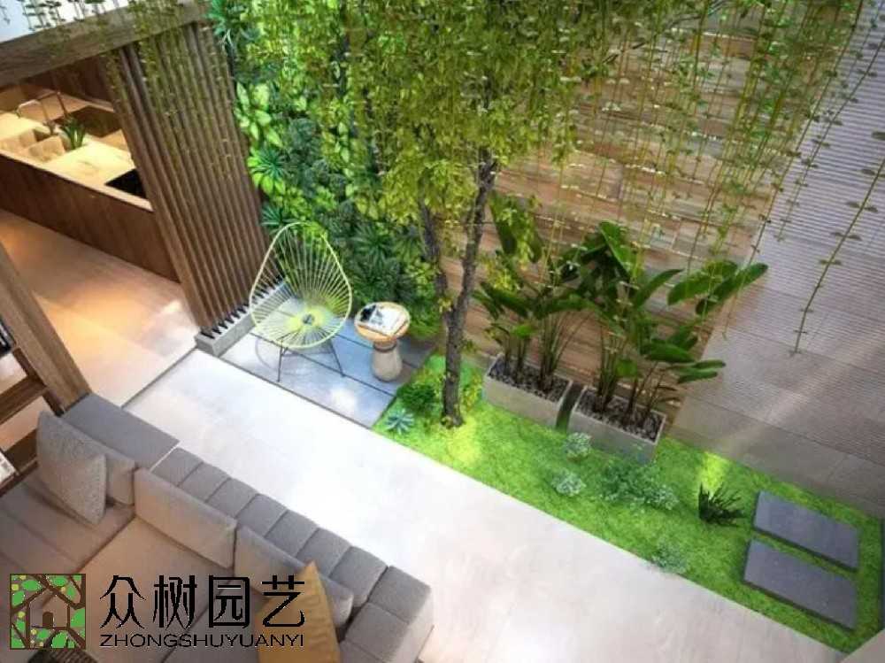 綠意盎然，蘇州綠植租賃優選指南