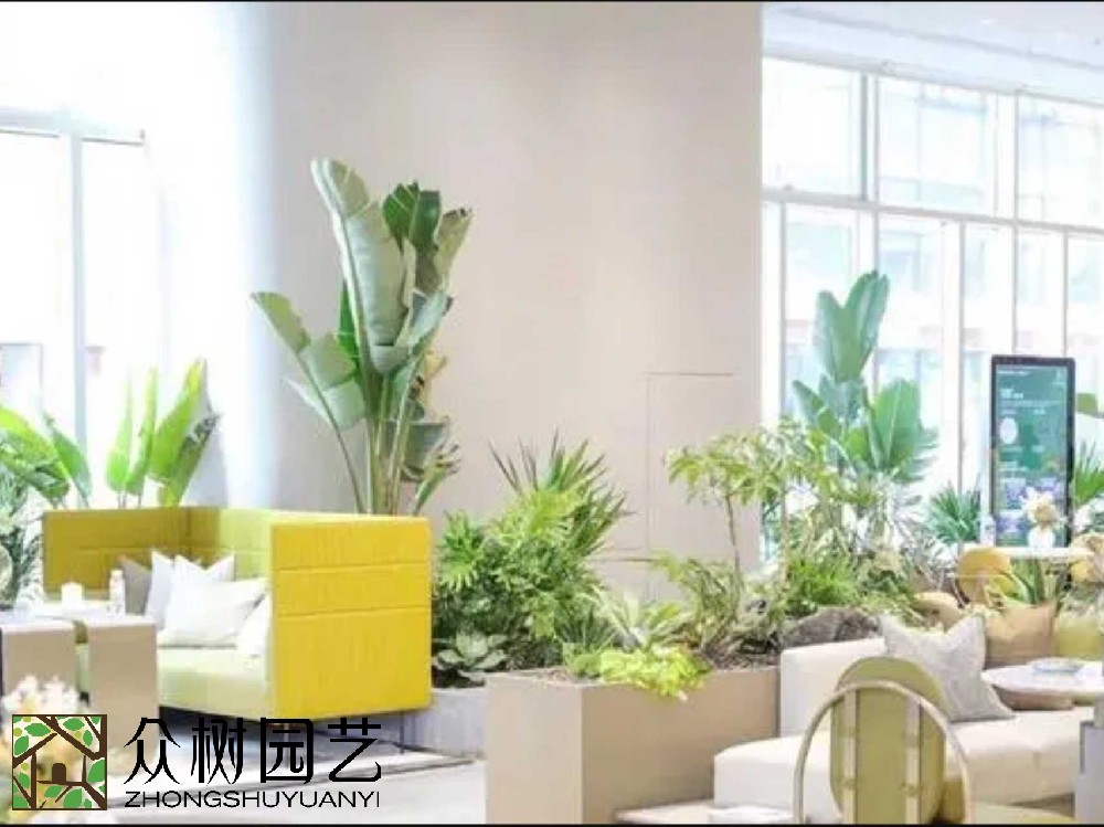 綠動蘇州，專業綠植租賃養護新風尚